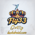 Fly33 Game