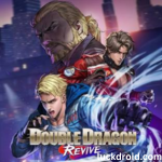 Double Dragon Revive